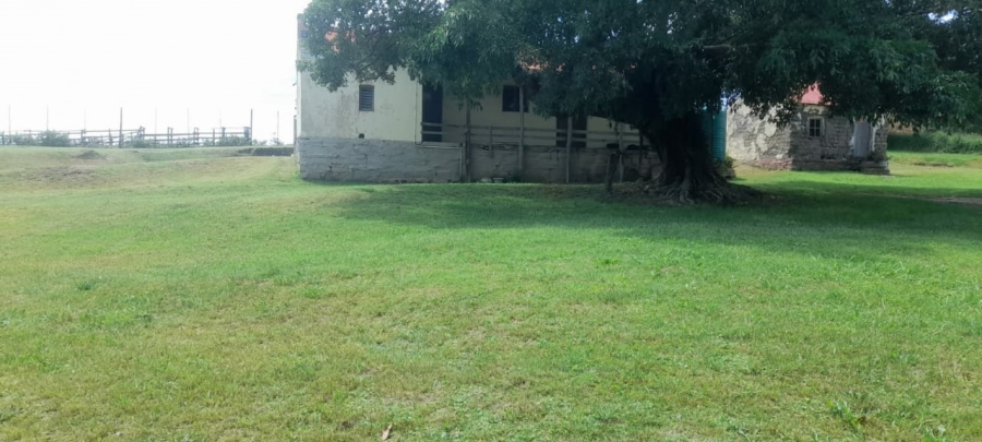 Commercial Property for Sale in Komga Rural Eastern Cape